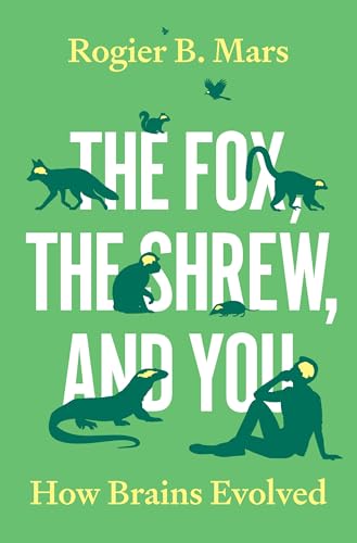 The Fox, the Shrew, and You: How Brains Evolved (Hardcover)