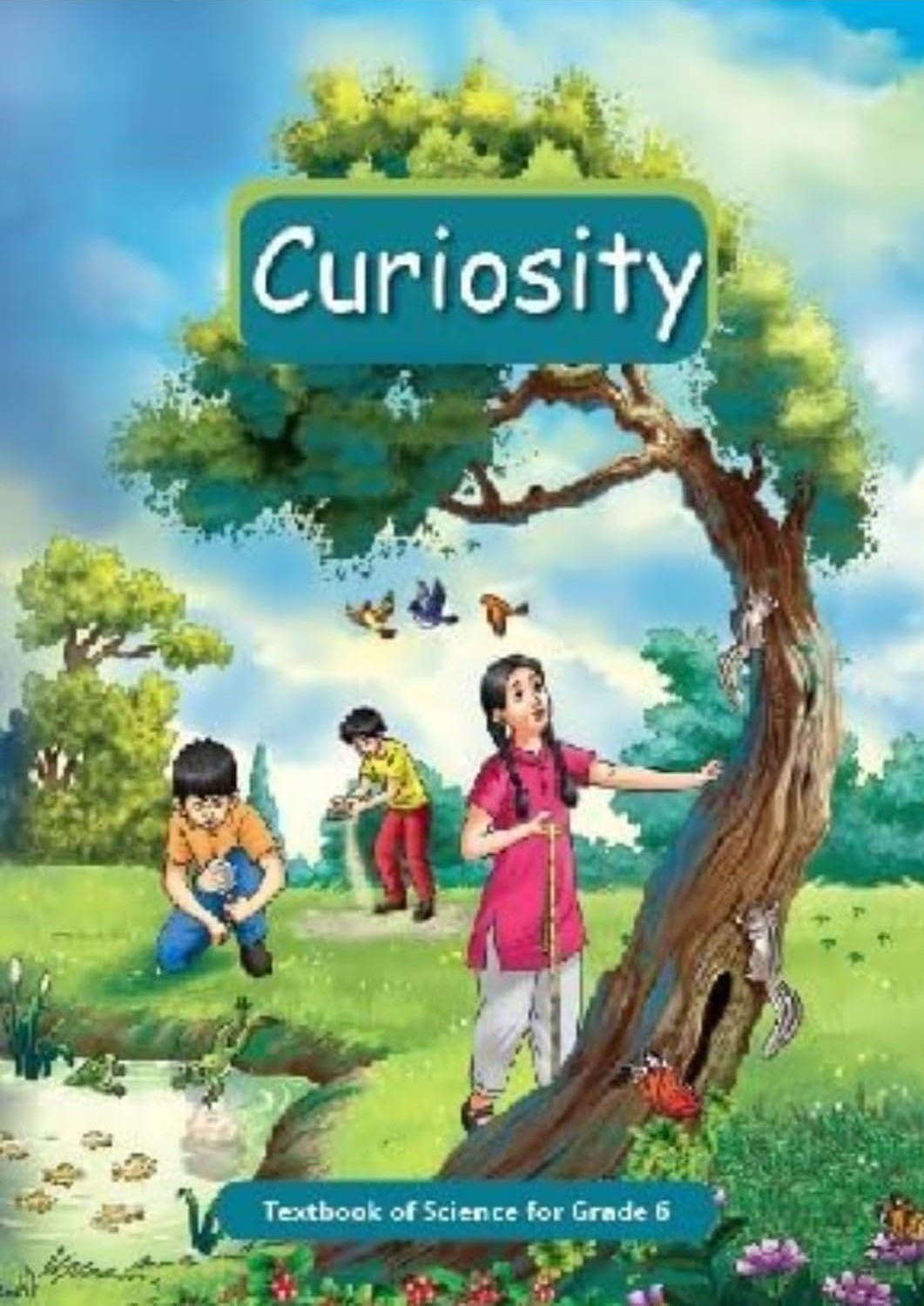 Curiosity - Textbook of Science for Grade 6 (Paperback)