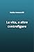 La vita e altre controfigure by Valdo Immovilli