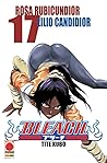Bleach, Vol. 17: ...