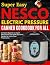 Super Easy Nesco Electric P...