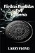 PIEDRAS PERDIDAS DEL UNIVERSO by Larry Floyd