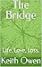 The Bridge: Life, Love, Los...