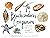 The Beachcomber's Companion: An Illustrated Guide to Collecting and Identifying Beach Treasures