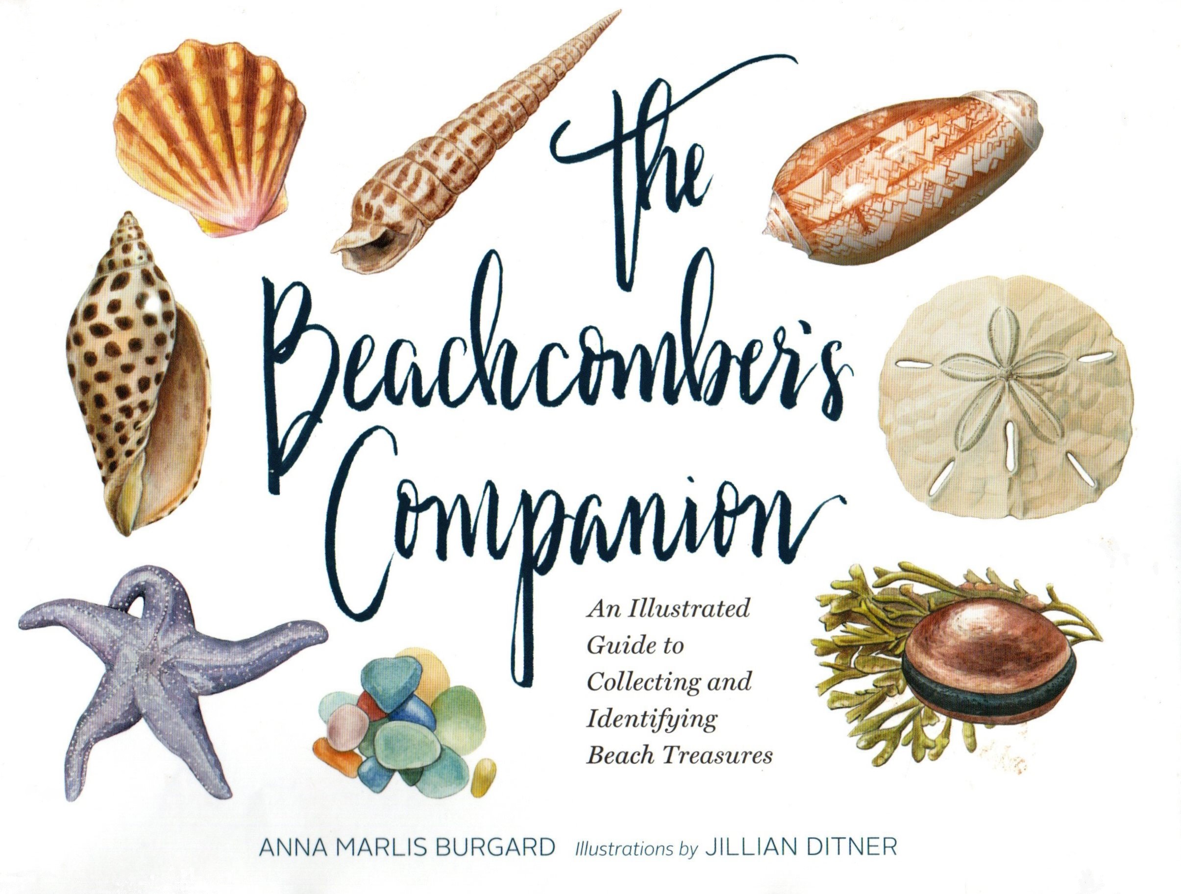 The Beachcomber's Companion: An Illustrated Guide to Collecting and Identifying Beach Treasures (Hardcover)