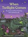 When Twilight Comes by Marcie Flinchum Atkins