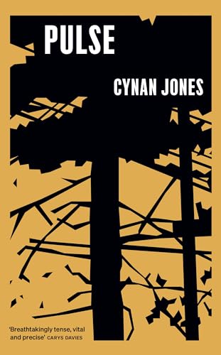 Pulse (Kindle Edition)