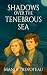 Shadows Over the Tenebrous Sea by Mandi Prevoteau Shadows Over the Tenebrous Sea by Mandi Prevoteau