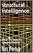 structural intelligence: : ...