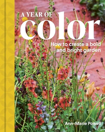 A Year of Color: How to create a bold and bright garden (Hardcover)
