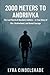 2000 Meters to Andriivka by Lyra Cindelshade