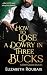 How to Lose a Dowry in Three Bucks: Short and Spicy Victorian Romance (A Few Good Bucks Book 3)
