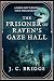 The Prisoner of Raven's Gaze Hall by J.C. Briggs