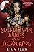Secret Twin Babies for the ...