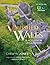 Vanished Wales by Carwyn Jones
