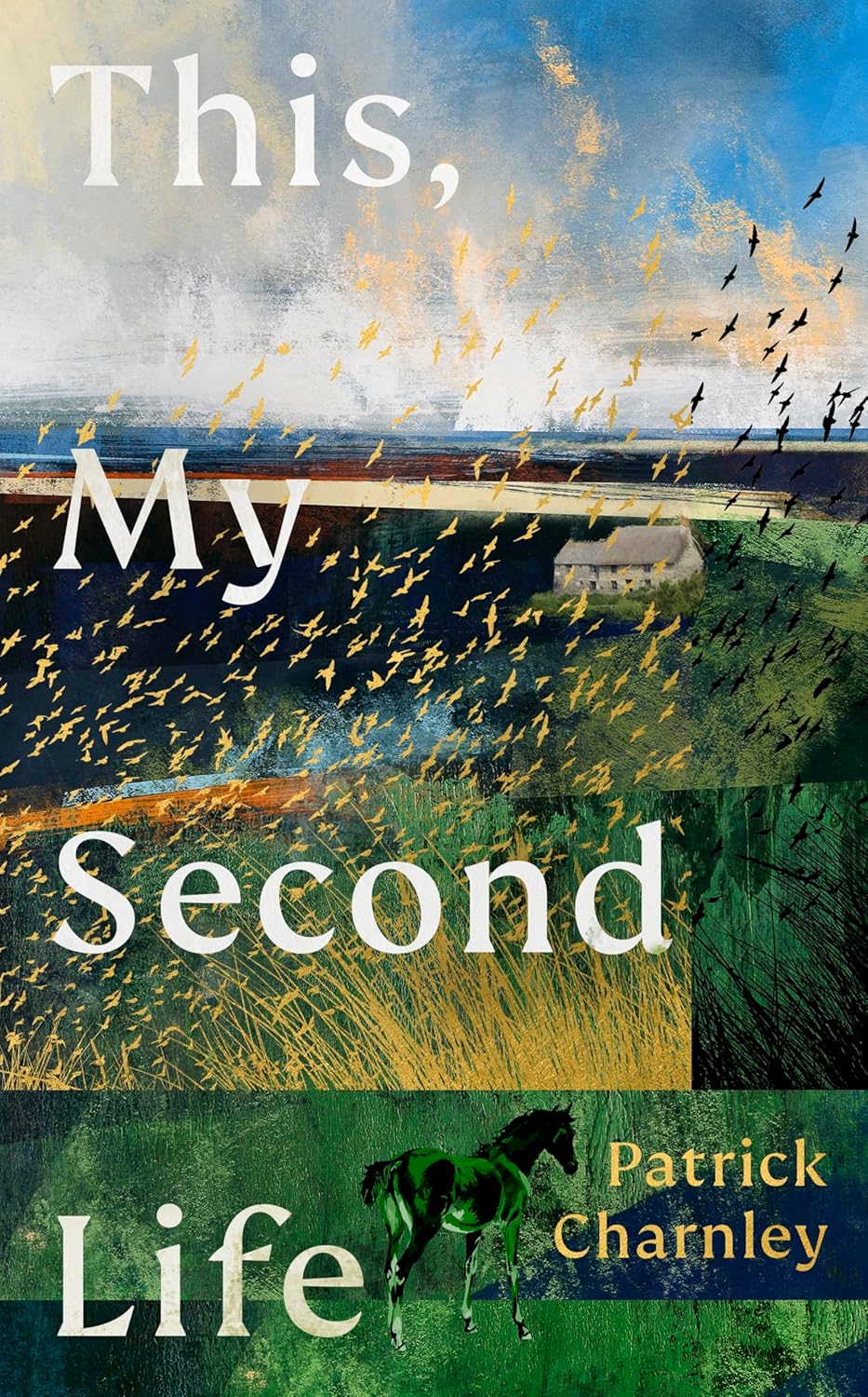 This, My Second Life (Hardcover)