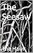 The Seesaw: A Novel of Power and Psychological Control (The Universe of the Hawk Book 1)