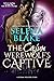 The Cajun's Werewolf's Captive by Selena Blake