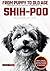 The Ultimate Shih-poo Big Guide: Everything You Will Ever Need To Know About The Shih-poo Book