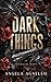 Dark Things by Angela Agnello