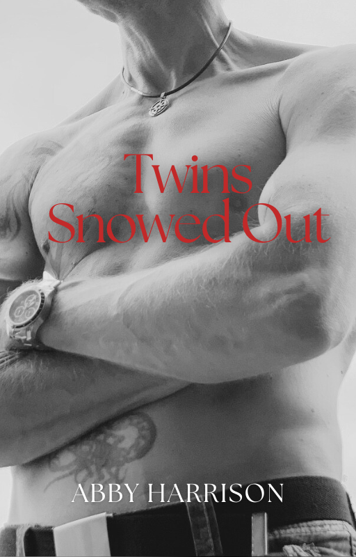 Twins Snowed Out (ebook)
