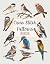 Cross Stitch Patterns: Birds (Cross Stitch Patterns - English Edition)