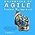 Drawbacks of Agile Project ...