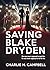 SAVING BLAKE DRYDEN: A Roma...