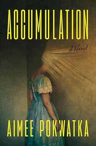 Accumulation by Aimee Pokwatka