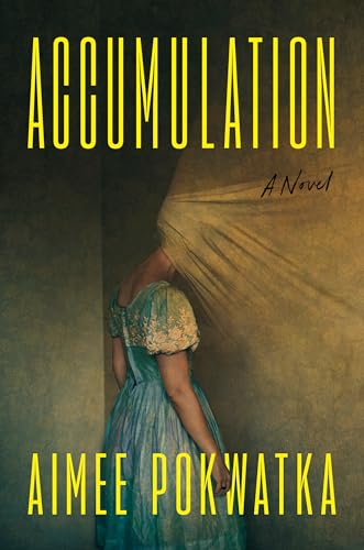 Accumulation (Hardcover)