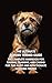 The Ultimate Border Terrier Guide  by Inkspire Books