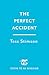 The Perfect Accident: an ab...