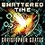 Shattered Time