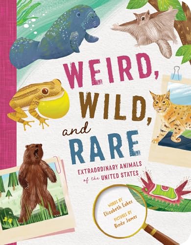Weird, Wild, and Rare: Extraordinary Animals of the United States (Paperback)