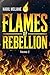 Flames of Rebellion by Nabil Meljane