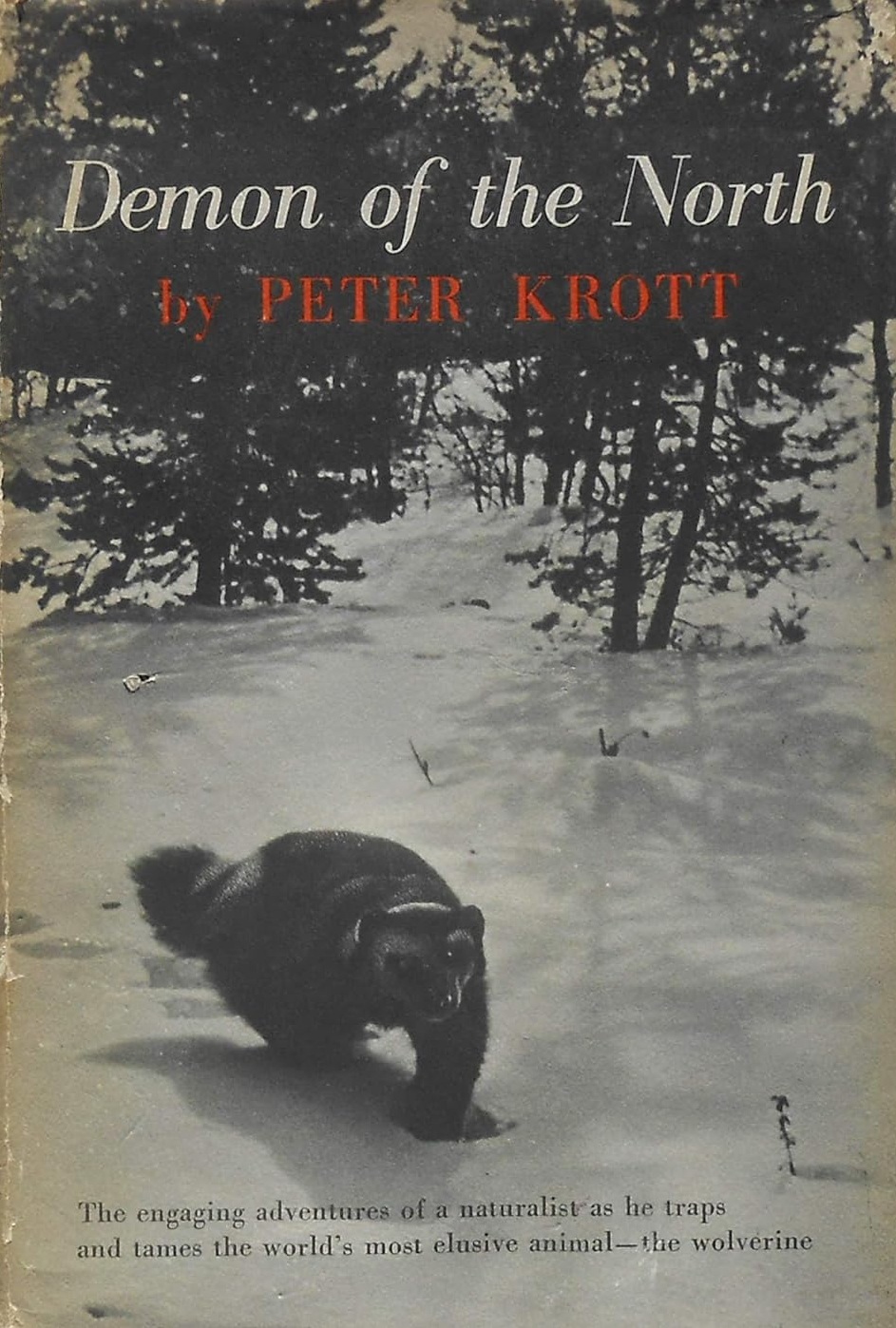 Demon of the North (Hardcover)