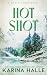 Hot Shot: A Small Town Friends-to-Lovers Romance (North Ridge)