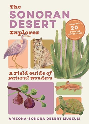 The Sonoran Desert Explorer: A Guide to Natural Wonders and Adventures (Paperback)