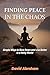 FINDING PEACE IN THE CHAOS by David Abraham