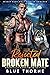 Rejected Broken Mate (Honeyville Firefighter Shifters #3)