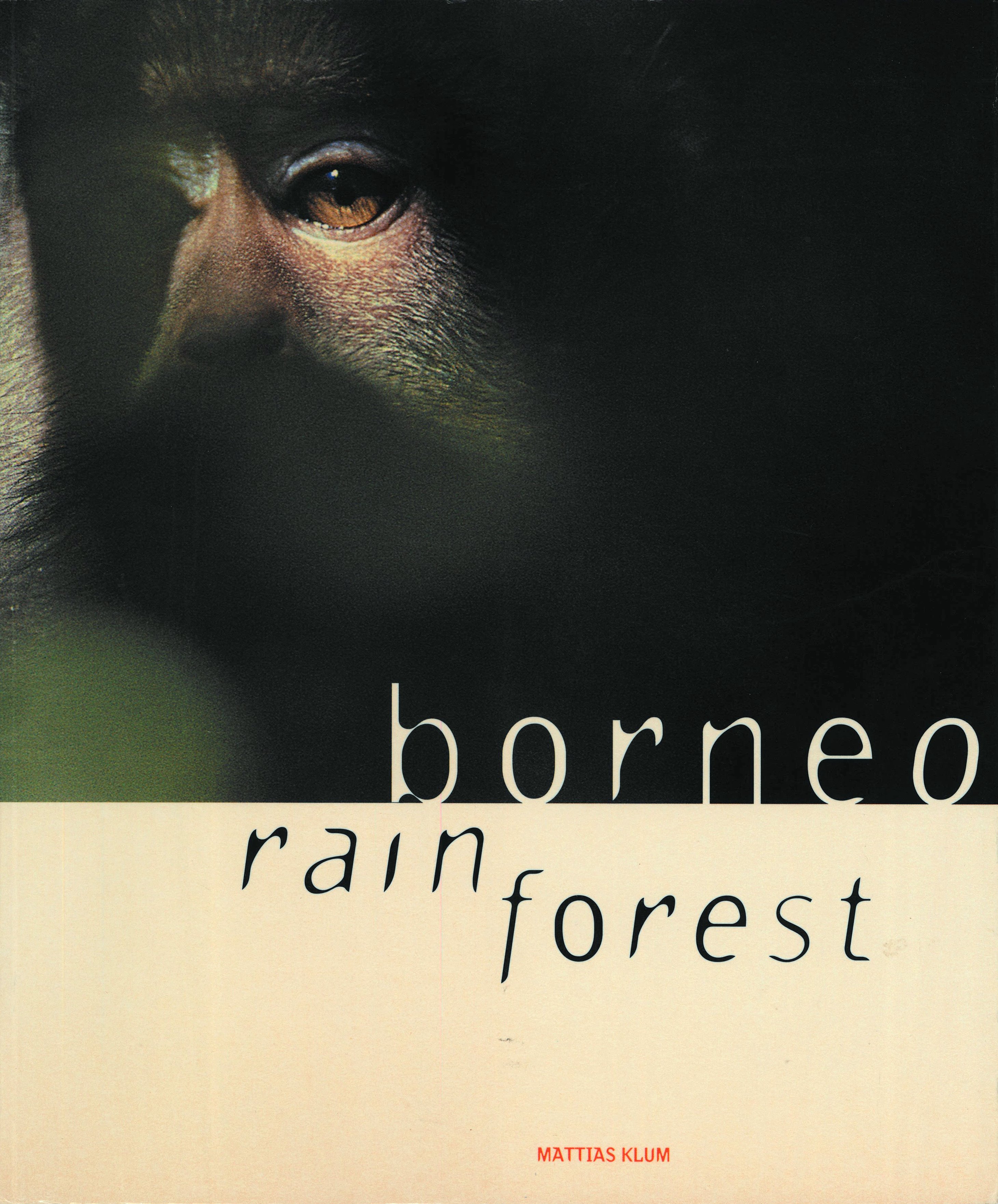 Borneo Rain Forest (Paperback)