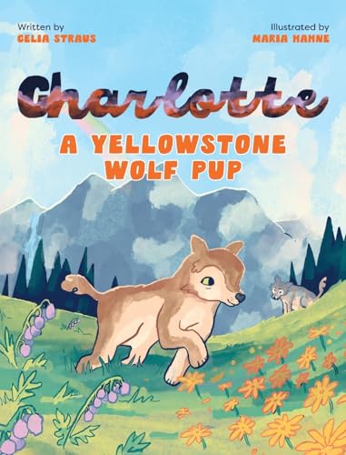 Charlotte A Yellowstone Wolf Pup (Hardcover)