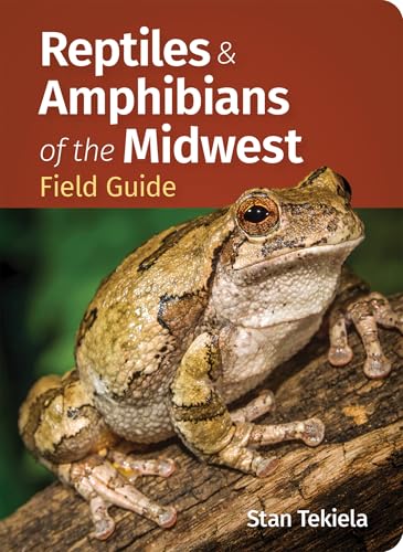 Reptiles & Amphibians of the Midwest Field Guide (Paperback)