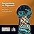 Las aventuras de Gilgamesh