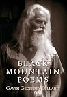 Black Mountain Poems