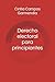 Derecho electoral para principiantes (Spanish Edition)
