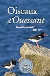 Oiseaux d'Ouessant