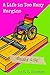 A Life in Too Many Margins by S.E. Thomson