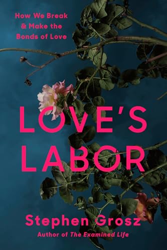 Love's Labor: How We Break and Make the Bonds of Love (Hardcover)