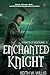Enchanted Knight